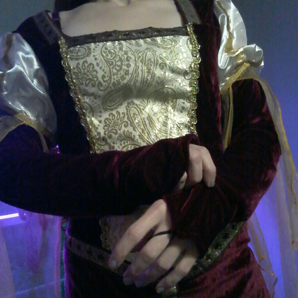Scarlet Renaissance Lady Dress Costume